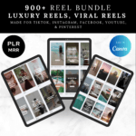 Instagram Reel Bundle