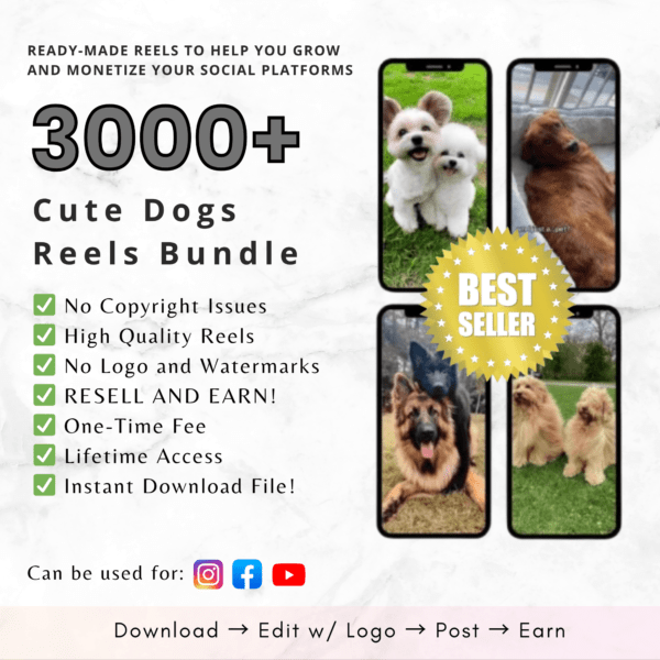 Cute Dogs