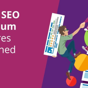 Yoast Premium plugin